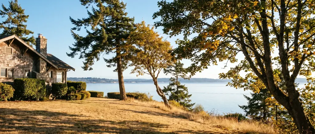 Shoreline trees above the water near Blaine